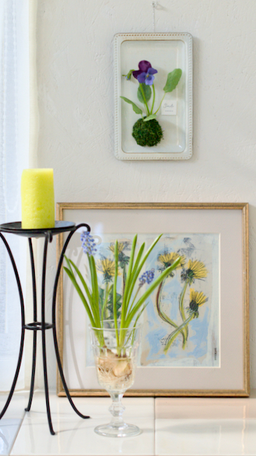 ビオラの壁掛け